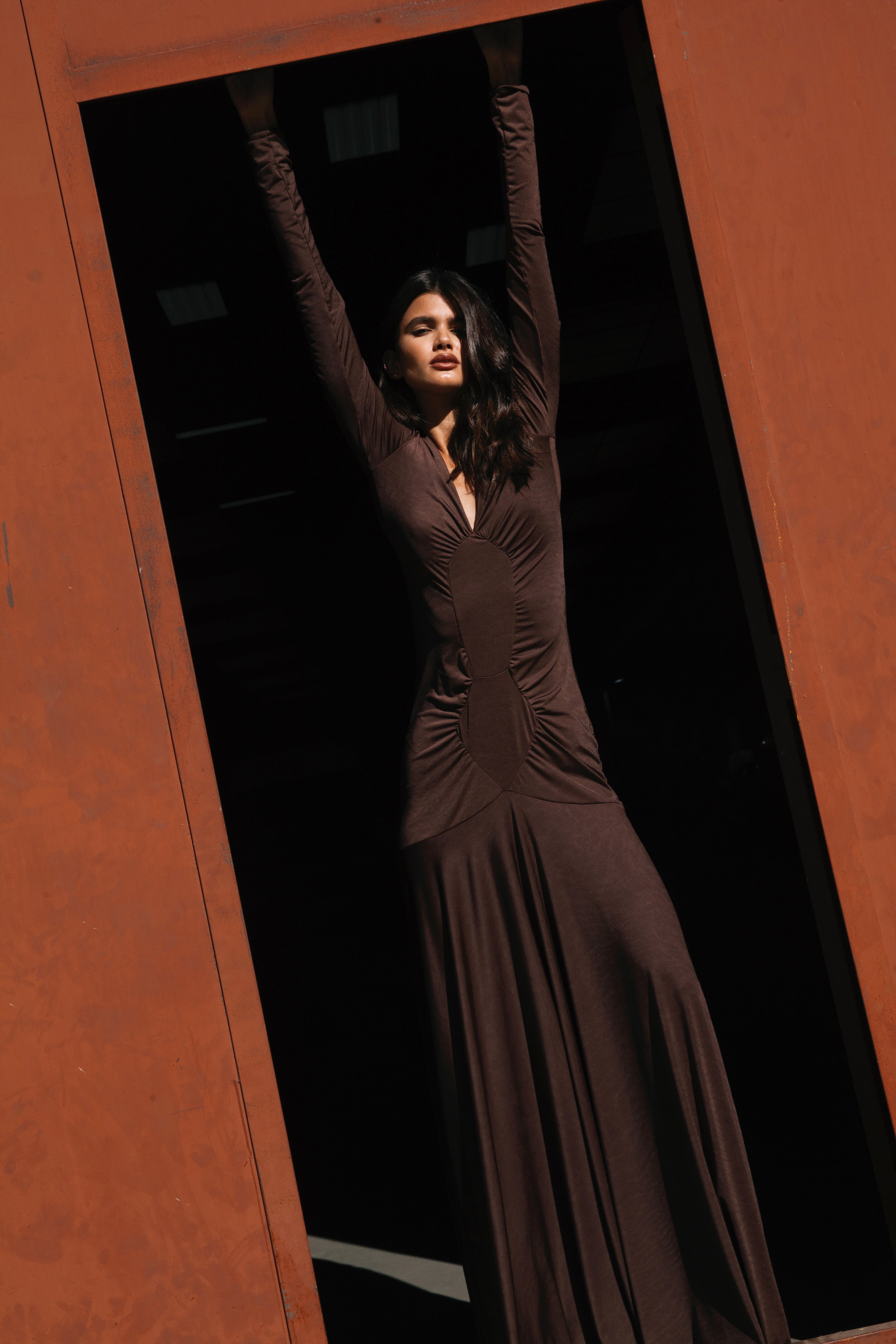 Ari Brown Maxi Dress