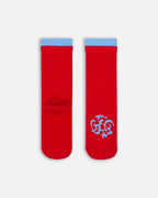 AC Sleeping Socks