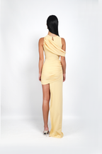 Carne Dress