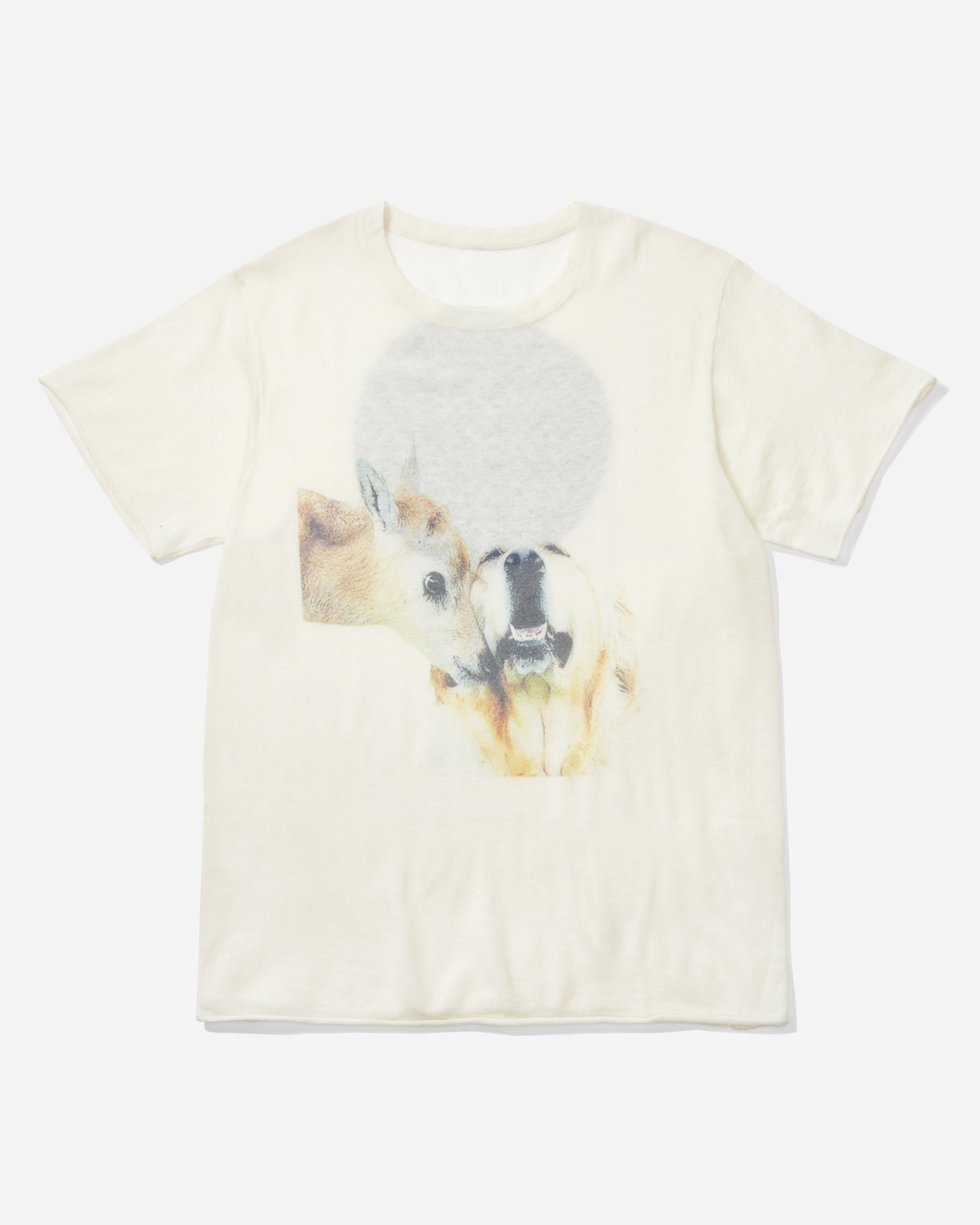 Dog Deer Love