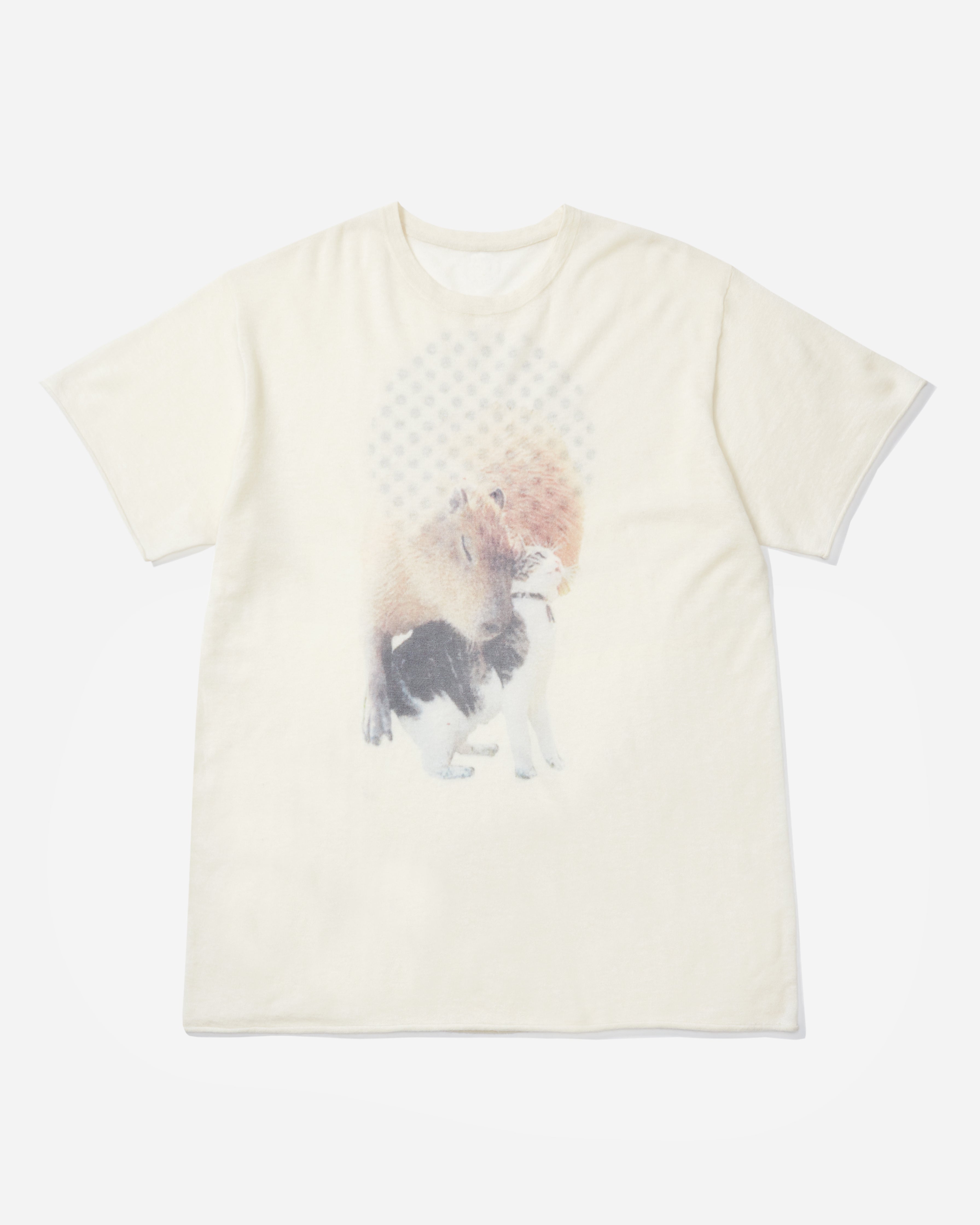 Kitty Capybara Love